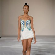 Butterfly Bodice Dress