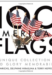 100 American Flags: A Unique Collection of Old Glory Memorabilia (The Collector's Eye) (Kit Hinrichs)