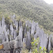 Pinnacles, Mulu Park, Malaysia