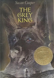 The Grey King (Susan Cooper)