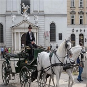 Fiaker Fahrt in Wien