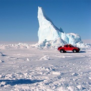 S9.E8: Polar Special