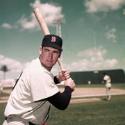 Ted Williams