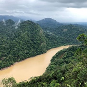 Pilón-Lajas Biosphere Reserve, Bolivia