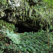 Fern Grotto
