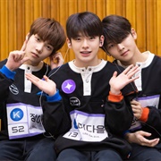 Not Spring, Love or Cherry Blossoms Love 101