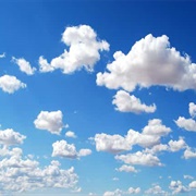 Learn to Fly Either Through Magic or Some Sort of Flying Device