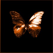 Blacklit Canopy - Patient