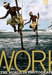 Work: The World in Photographs (Ferdinand Protzman)