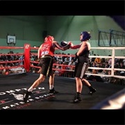 Fight a Boxing Match