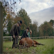 All Creatures Great and Small: "Andante" (S1,E3)