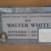 Grave of Walter White, New Mexico