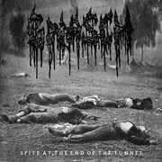 Gnasch - Spite at the End of the Tunnel