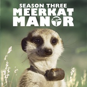 Meerkat Manor