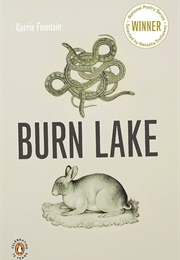 Burn Lake (Carrie Fountain)