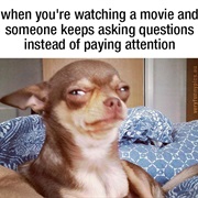 People Who Keep Asking Questions About the Movie You're Watching