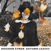 Autumn Leaves - Braison Cyrus
