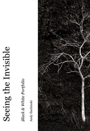 Seeing the Invisible (Ilachinski)