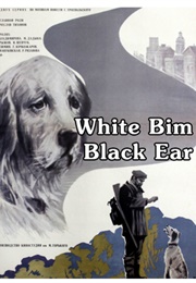 White Bim Black Ear (Gavriil Troyepolsky)