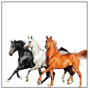 Old Town Road - Diplo Remix - Lil Nas X, Billy Ray Cyrus, Diplo