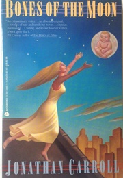 Bones of the Moon (Jonathan Carroll)