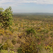 Bosque Seco Biosphere Reserve, Ecuador