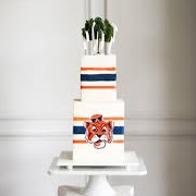 Sports Team Themed Cake