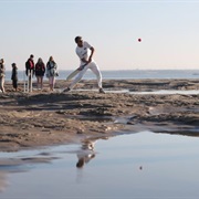 Bramble Bank Cricket Pitch
