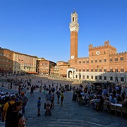 Piazza Del Campo, Siena