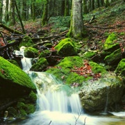 Collemeluccio Montedimezzo Biosphere Reserve, Italy