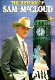 The Return of Sam McCloud (1989)