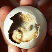 Balut (Fertilised Duck Egg)