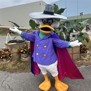 Darkwing Duck
