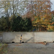 Birds in the Brickwork - A Collection of Augmented Field Recordings