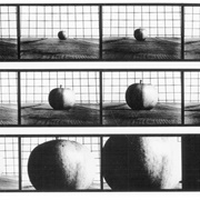 Apple Advancing [Var. "Northern Spy"] (Hollis Frampton and Marion Faller)