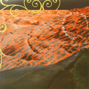 Metalux - Waiting for Armadillo