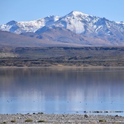 Laguna Blanca National Park, Neuquén, Argentina