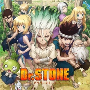 Dr. Stone