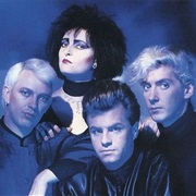 Siouxsie & the Banshees