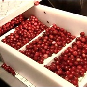 S3.E1: Pre-Inked Stamps/Cranberries/Cotton Yarn/Road Signs