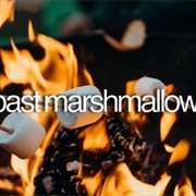 Roast Marshmallows