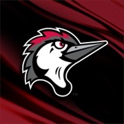 Fayetteville Woodpeckers (A)