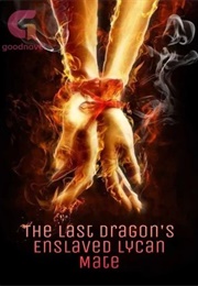The Last Dragon's Enslaved Lycan Mate (My Fantasy Stories)