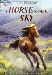 A Horse Named Sky (Rosanne Parry)
