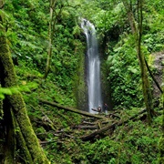 La Amistad International Park, Costa Rica & Panama