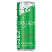 Red Bull Summer Edition (Cactus Fruit)