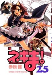 Negima! Magister Negi Magi, Vol. 25 (Ken Akamatsu)