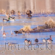 Wilder Waterfowl Management Area