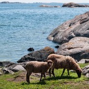 Archipelago Sea Area Biosphere Reserve, Finland