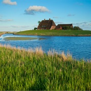 Die Halbinsel Eiderstedt